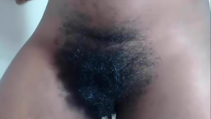 Una Bellezza Di Colore Viene Scopata Da Uno Degli Hairy Ex'S