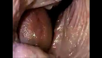 Inside Camera Captured Close-Up Of Vaginal Penetration And Ejaculation