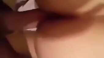 Arab Tits In Algerian Homemade Video