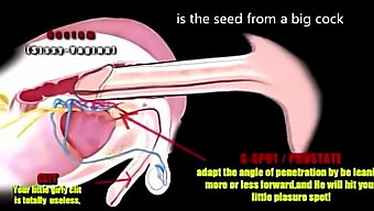 Trải Nghiệm Cảm Giác Hồi Hộp Khi Bị Một Con Cặc Đen Lớn Chiếm Đoạt